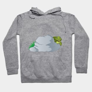 turtle behind stone Hoodie